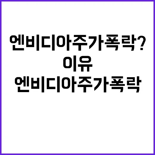 엔비디아 주가 폭락? 투자자들이 놓치고 싶지 않은 이유!