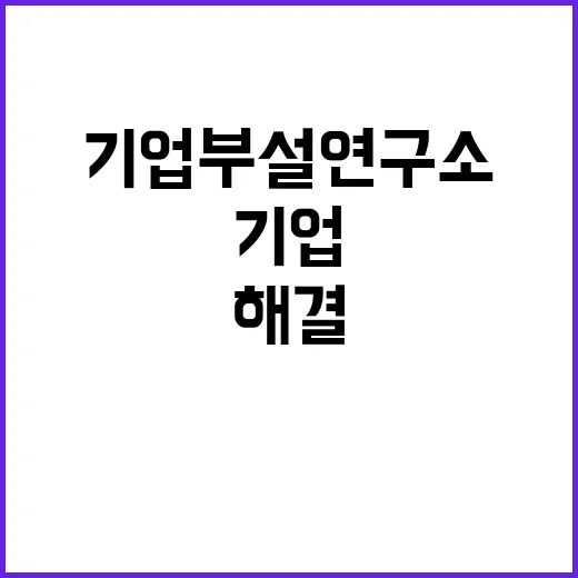 기업부설연구소 인정제도 위반 후폭풍과 해결 방안!