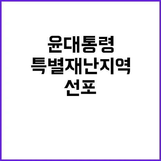 특별재난지역 선포 …