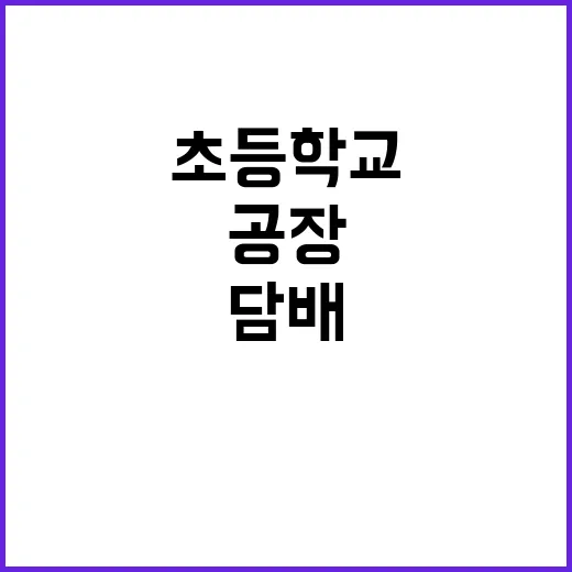 짝퉁 담배공장 초등학교 앞 충격! 환풍기 냄새 덜미!