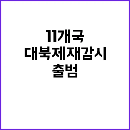 대북 제재 감시 11개국 다국적팀의 출범!