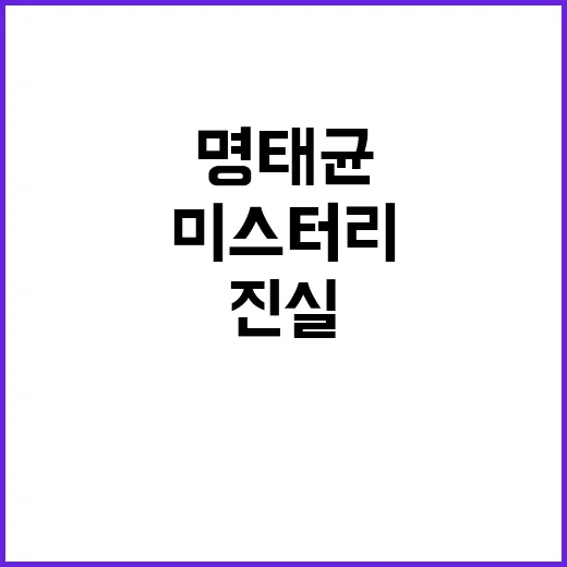 명태균 스캔들 진실…