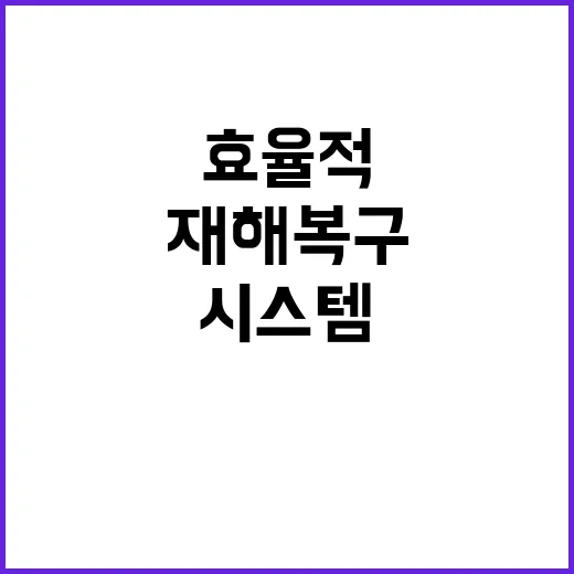 재해복구 혁신 효율적 시스템으로 예산 절약!