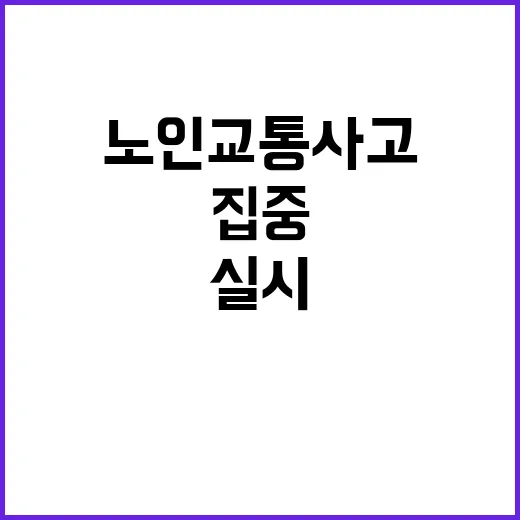 어린이·노인 교통사…