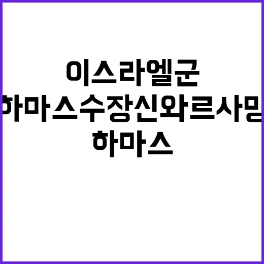 이스라엘군 하마스 수장 신와르 사망 확인 여부 긴박