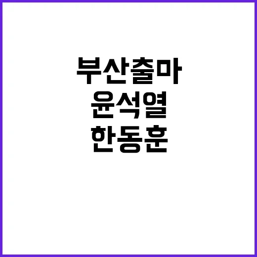 한동훈 부산 출마 윤석열 독대의 비밀?