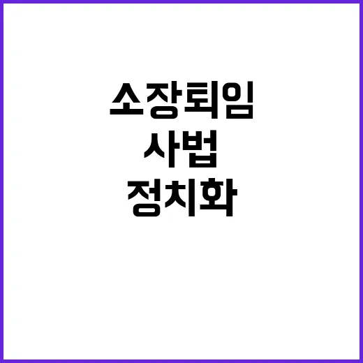 헌법재판소 소장 퇴임으로 인한 사법 정치화 우려