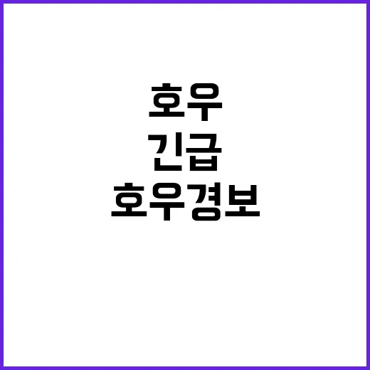 강원 긴급 강릉 포함 9곳 호우 경보!