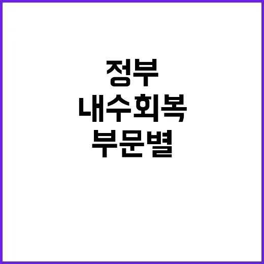 내수 회복 정부 진…