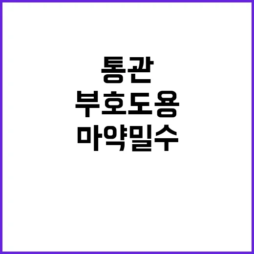 마약 밀수 내 통관…