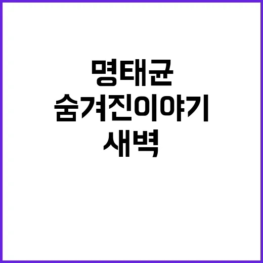 명태균과 윤석열 새…