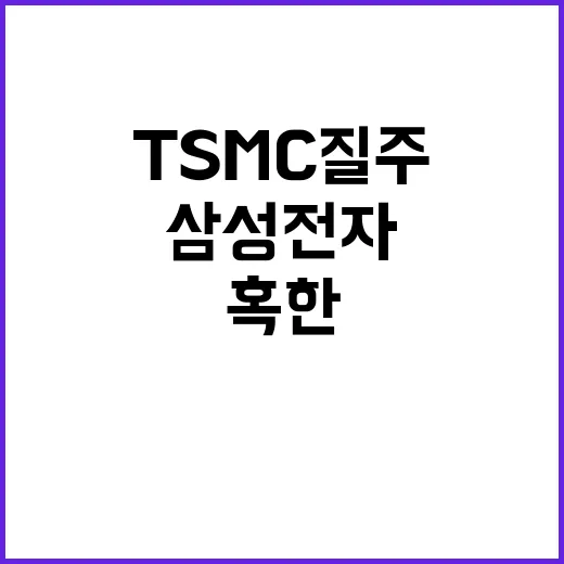 TSMC 질주 삼성…