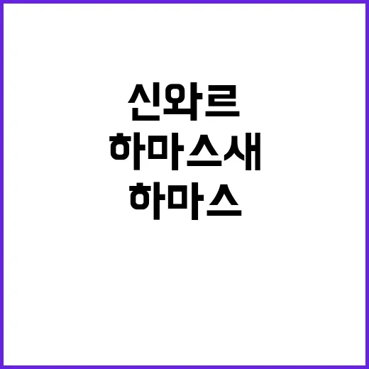 신와르 사망 하마스…