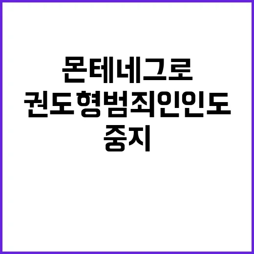 몬테네그로 헌법재판…