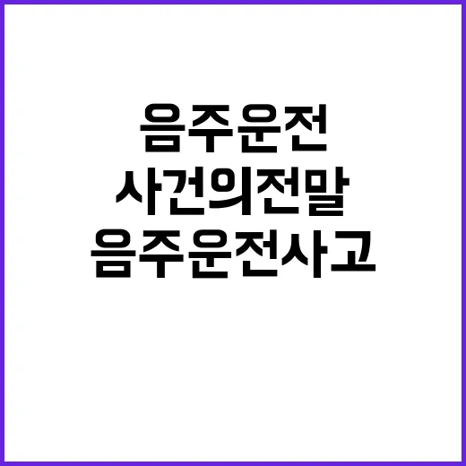 음주운전 사고 유명 배우 용산 경찰서 사건의 전말?