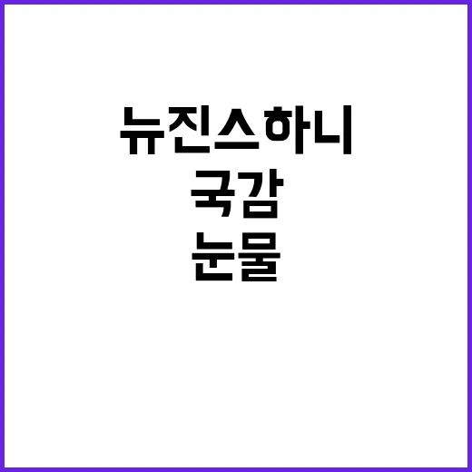 뉴진스 하니 국감 …