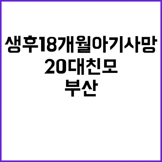 부산 비극 생후 18개월 아기 사망 20대 친모 구속