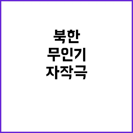 평양 무인기 북한 자작극인가 드론사령부 작전인가?