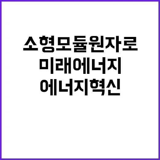 소형모듈원자로 국가 미래 에너지 혁신의 열쇠!