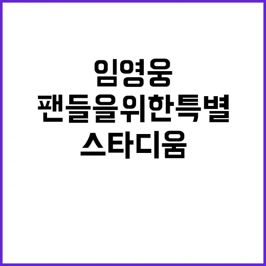 임영웅 VOD 팬들을 위한 특별 스타디움 경험!