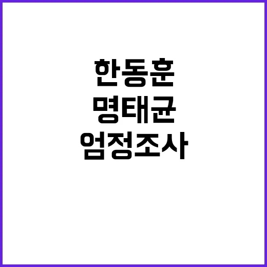 한동훈 정치 브로커…