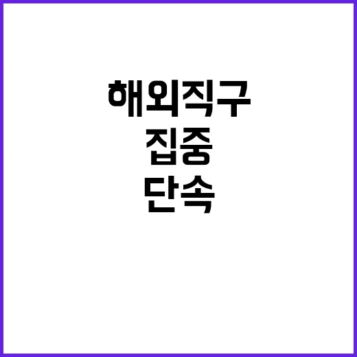 해외 직구 단속 블랙프라이데이 전후 5주 집중 조사!