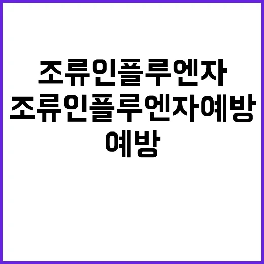 조류인플루엔자 예방…