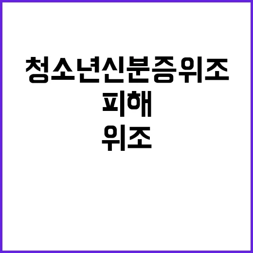 청소년 신분증 위조 피해 자영업자 보호 확대 정책