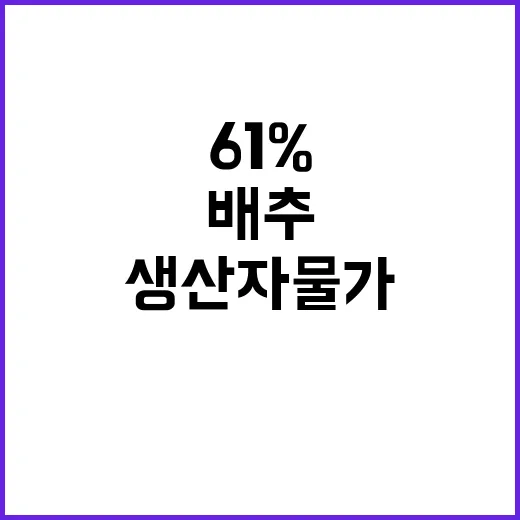 배추 대란 9월 생산자물가 61% 급등!