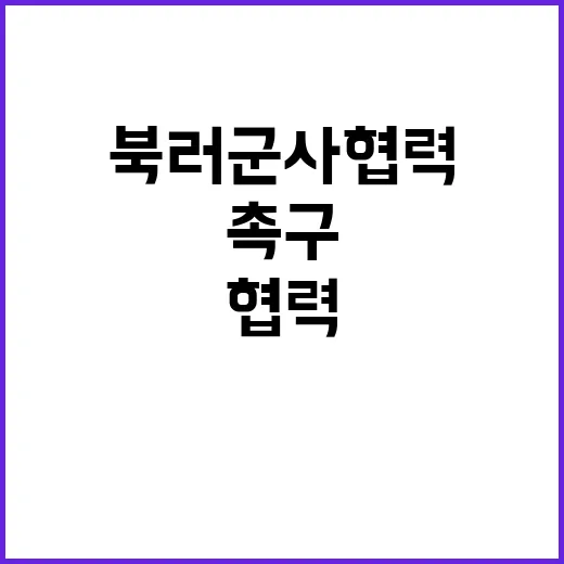 북러 군사협력 정부의 단계적 대응과 촉구