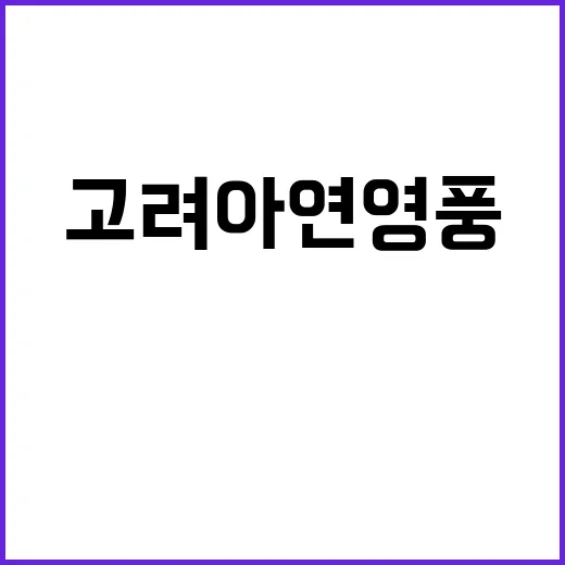 고려아연 영풍·MBK 사기적 공개매수 논란! 국민연금 반응은?