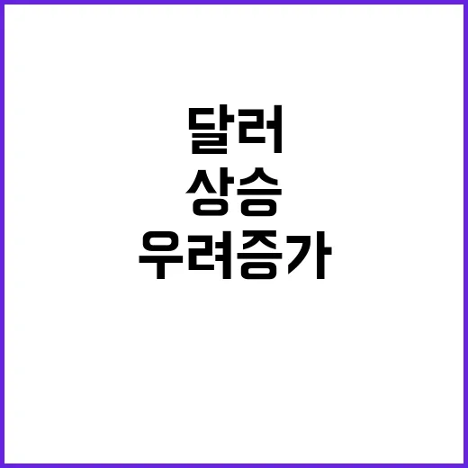 달러 가격 상승 예측 투자자들의 우려 증가!