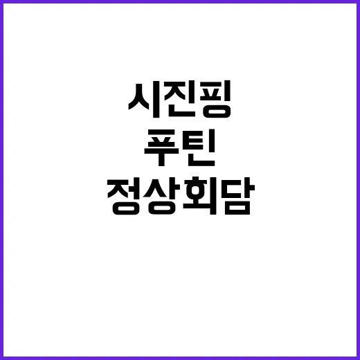 푸틴·시진핑 정상 …