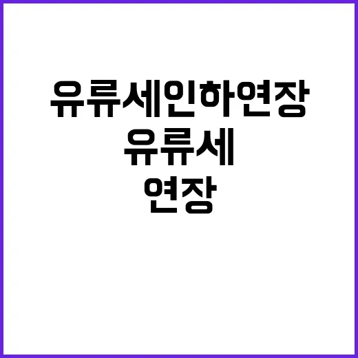 유류세 인하 연장 …