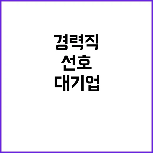 대기업 경력직 선호…