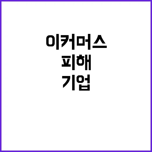 이커머스 지원 확대…