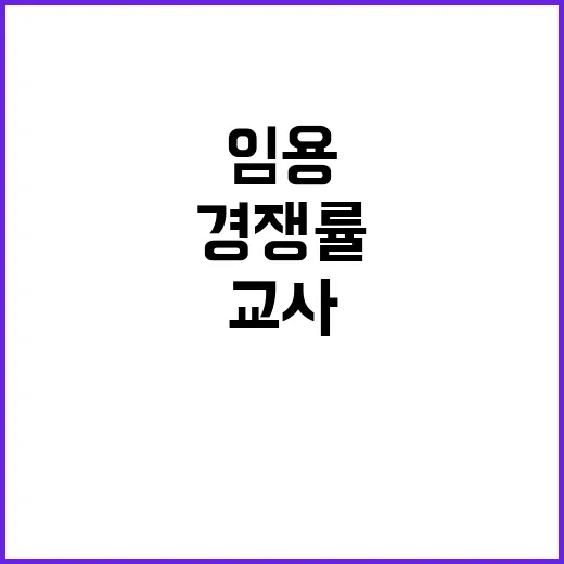 강원 교사 임용 대전 경쟁률 주춤!