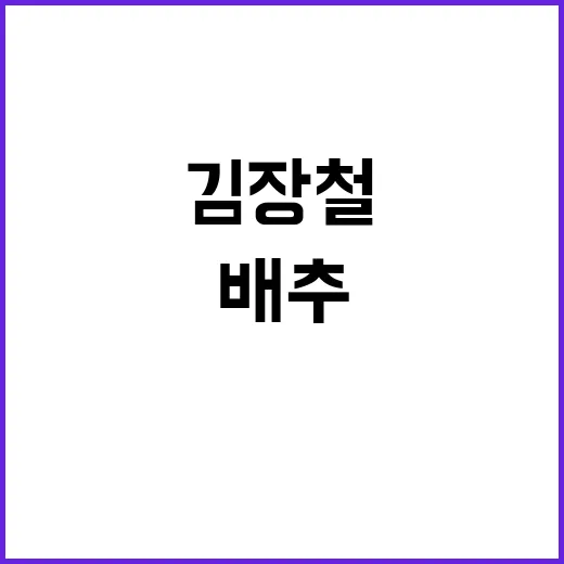 배추 무 할인 김장…