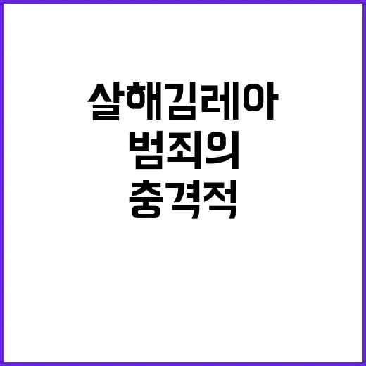 연인 살해 김레아 …