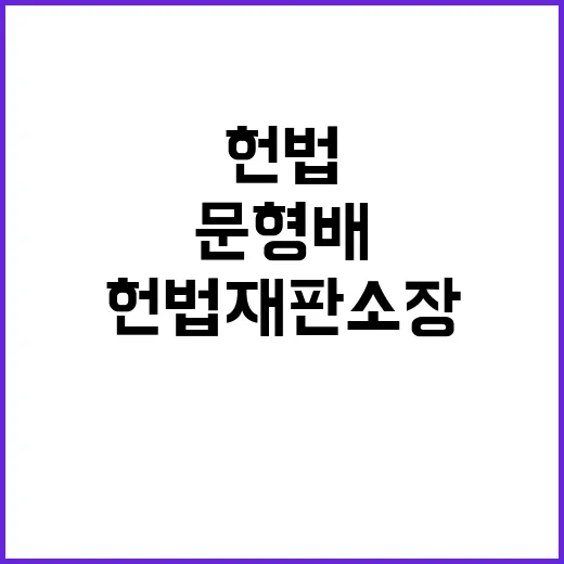 헌법재판소장 대행 …