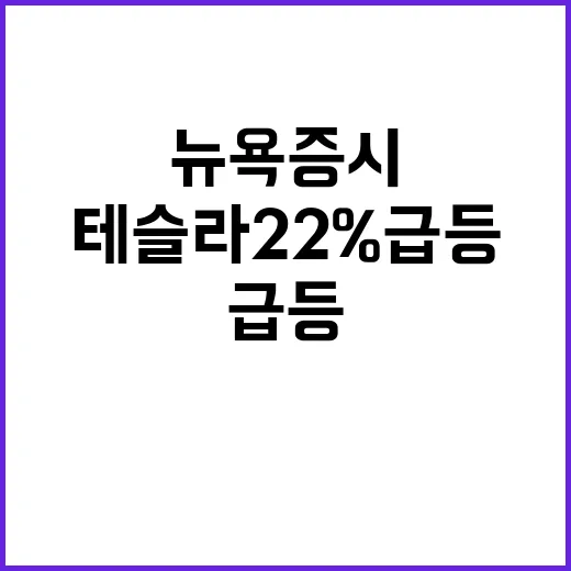 뉴욕증시 혼조 테슬라 22% 급등의 이유는?