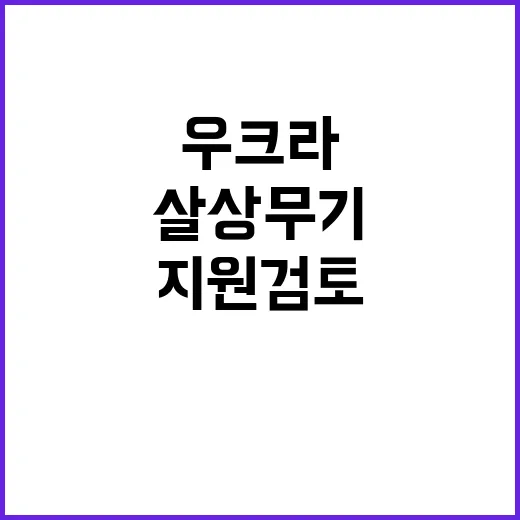 북한군 행동에 따른 우크라 살상무기 지원 검토