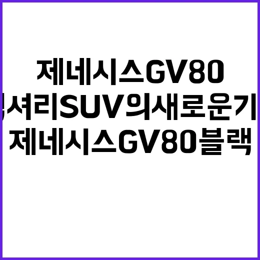 제네시스 GV80 …