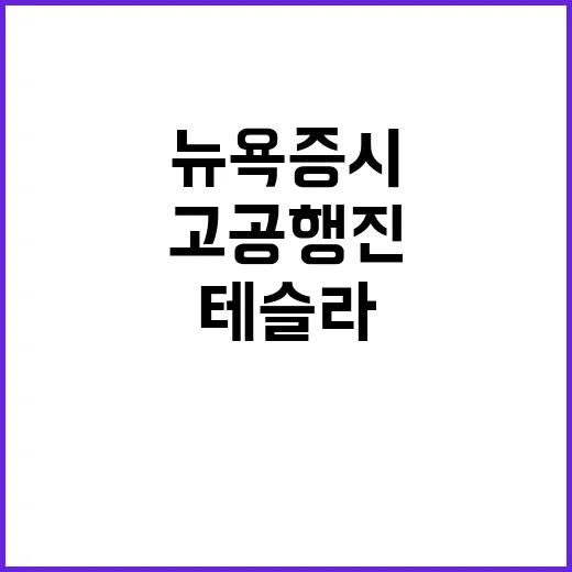 뉴욕증시 테슬라 실적 반등과 기술주 고공행진