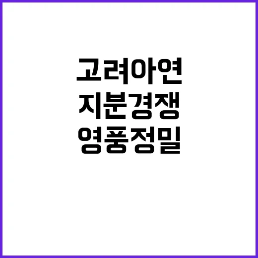 고려아연 영풍정밀 …