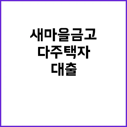 새마을금고 다주택자…