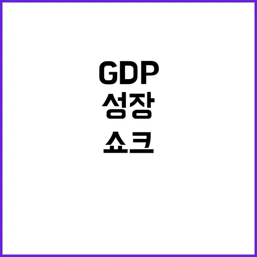 경제쇼크 한국 GDP 성장 둔화 대응책은?