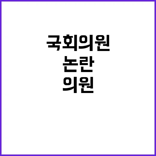 국회의원 논란 시민…