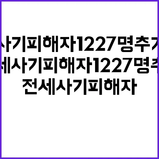 전세사기 피해자 1227명 추가 인정 주거·금융 도움!