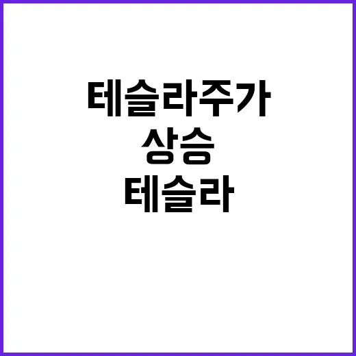 머스크 자산 급증 테슬라 주가 대폭 상승 이유는?